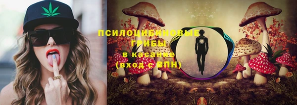 альфа пвп Няндома