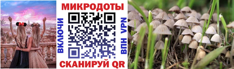 Галлюциногенные грибы мухоморы  Алексин 